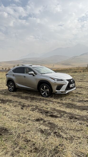 купить авто от хозяина: Lexus NX: 2018 г., 2.5 л, Вариатор, Гибрид, Кроссовер