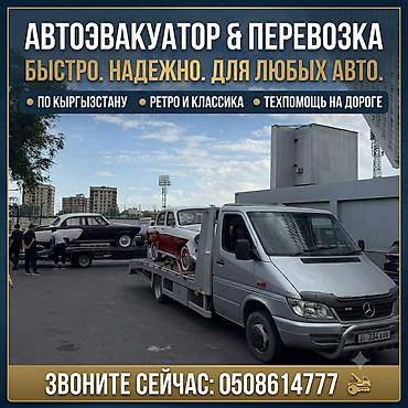С прямой платформой, С частичной погрузкой, С лебедкой