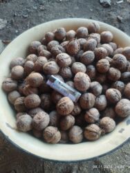 сип панел: Грецкий орех в скорлупе, урожай текущего года. - Крупный калибр, на