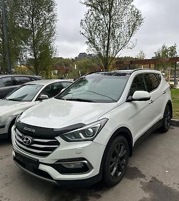 Тюнинг: Мухобойка на капот Hyundai, 2017 г., Новый, Самовывоз, Платная доставка — 1