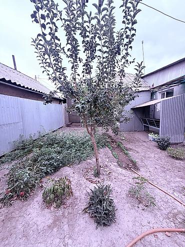 кызыл аскер какой район: 4 комнаты, 100 м², 5 соток, Бишкек, Кызыл Аскер Агентство недвижимости — 7