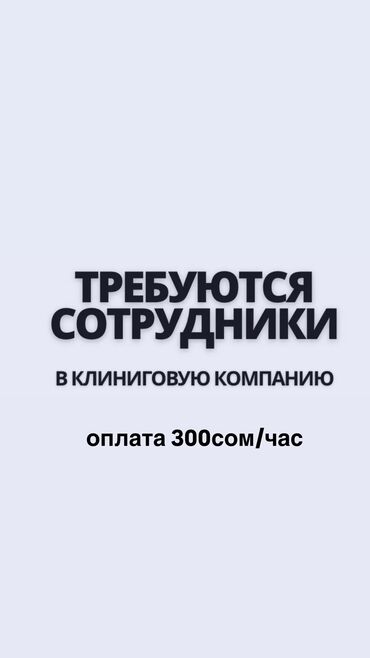 иш керек уборка: Бөлмөлөрдү тазалоо, | Жалпы тазалоо, Жумасына бир жыйнап тазалоо, Терезелерди жуу, | Офистер, Батирлер, Үйлөр