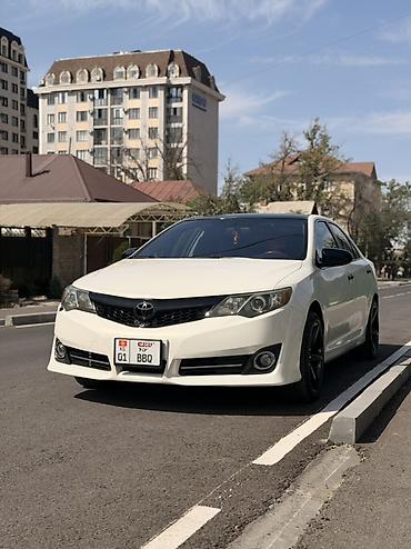 я ищу лобо: Toyota Camry: 2013 г., 2.5 л, Автомат, Бензин, Седан — 1