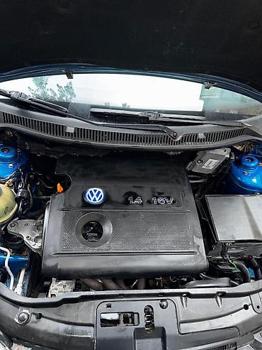 Volkswagen: Volkswagen Polo: 2002 г., 1.4 л, Механика, Бензин, Хэтчбэк — 11