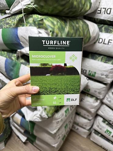 Другие виды семян и саженцев: Семена газона Газон Травка Любой сорт Клевер, спорт, мятлик — 21
