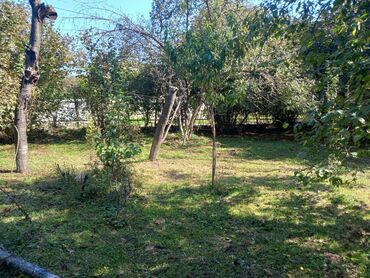 Bağ evlərinin satışı: Qax, 55 kv. m, 1 otaqlı — 4