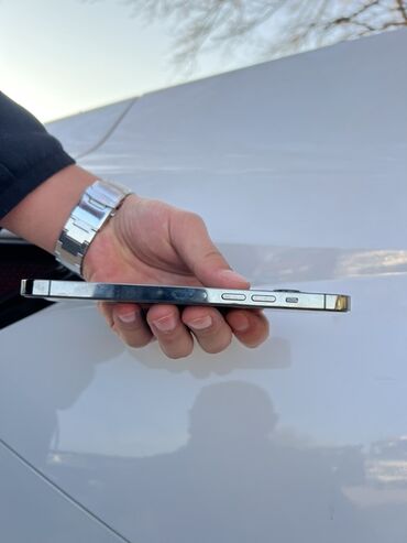 Apple iPhone: IPhone 13 Pro Max, Б/у, Графит, Чехол, 81 % — 5