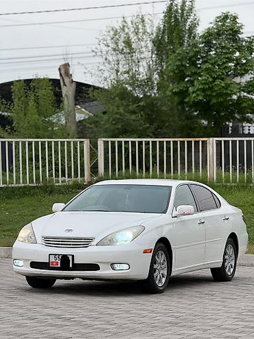 Toyota: Toyota Windom: 2003 г., 3 л, Автомат, Бензин, Седан — 2