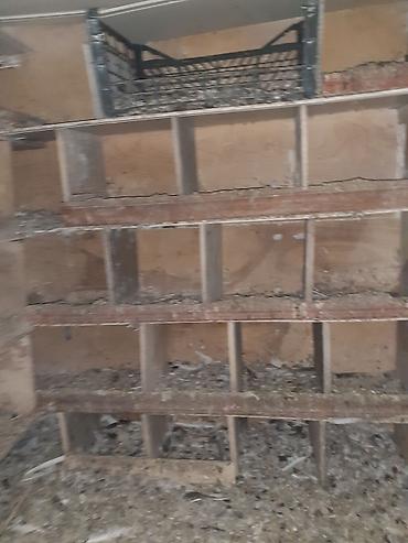 yuvası: Quş yuvaları və kiçik quşxana - Material: taxta karkas, arakəsməli — 2