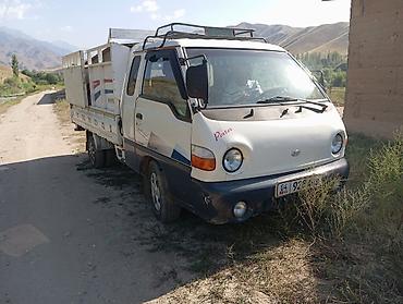 авто домик: Легкий грузовик, Hyundai, Стандарт, Б/у — 5