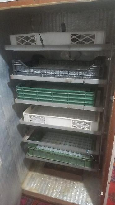 Инкубаторы: Sənaye tipli inkubator1000 cücə yumurta tutumu.Ördək qaz hinduşka — 7