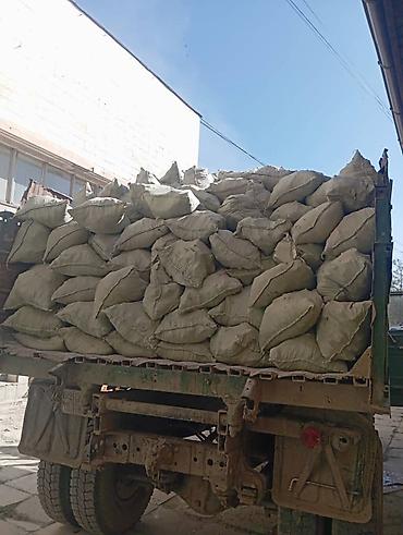 Другие услуги грузоперевозок: Вывоз мусора at lalafo.kg — 12 Другие услуги грузоперевозок: Вывоз мусора — 12