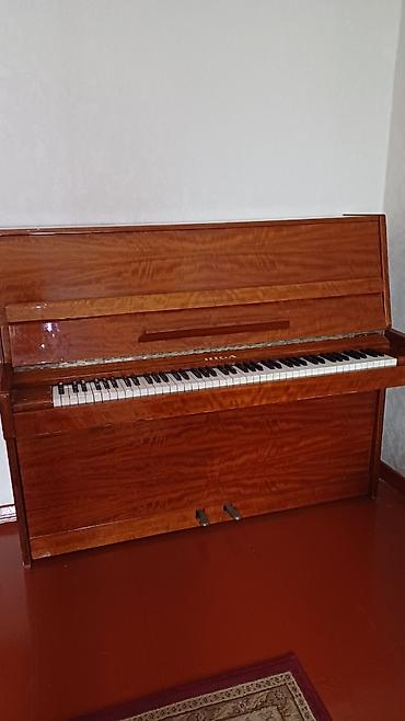 Пианино: Срочно продаю Пианино RIGA. Красное дерево, состояние отличное! В — 9