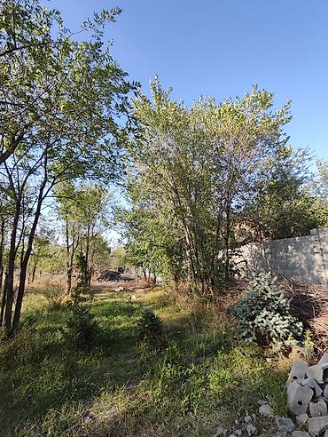 Продажа дач: Продется дом СОБСТВЕННИК 5 сот. по документам, фактически 8 сот. 2 — 23