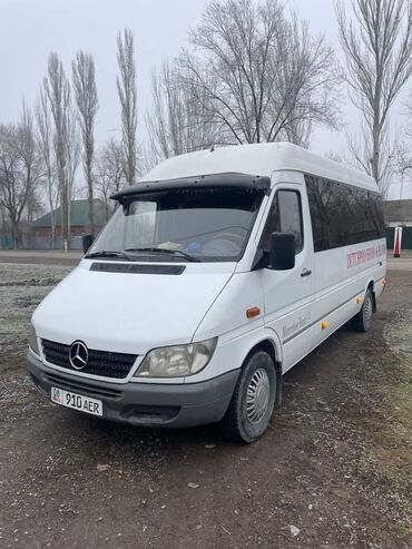 Mercedes-Benz: Mercedes-Benz Sprinter: 2005 г., 2.7 л, Механика, Дизель, Бус