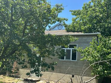 Bağ evlərinin satışı: Xaçmaz, 126 kv. m, 4 otaqlı, Hovuzsuz -da lalafo.az — 2 Bağ evlərinin satışı: Xaçmaz, 126 kv. m, 4 otaqlı, Hovuzsuz — 2