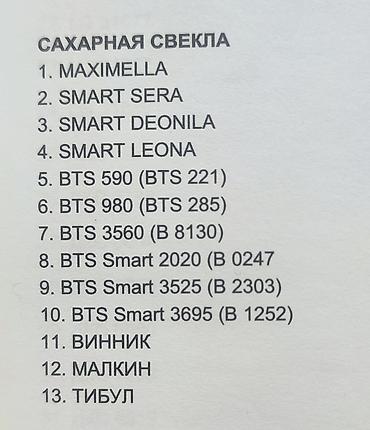 Свёкла: 10+1 акция срочно Семена Сахарной свеклы компании Beta Seed 2025 — 4