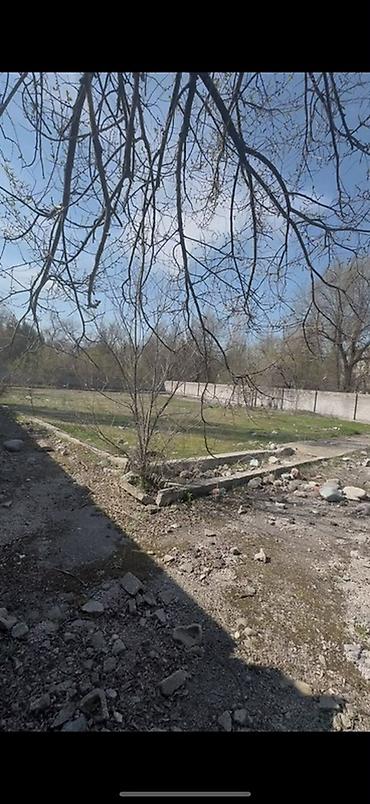 кара ой участок: 11 соток, Для бизнеса — 4