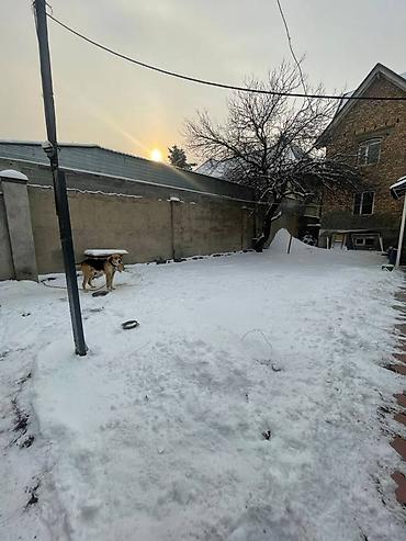 Долгосрочная аренда домов: 358 м², 6 комнат, Видеонаблюдение, Евроремонт, Утепленный — 24