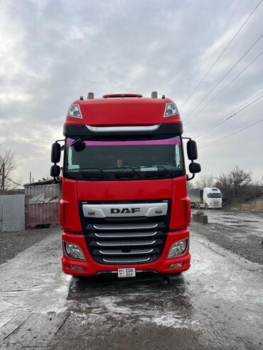 Тягачи: Тягач, DAF, 2018 г., Шторный — 1