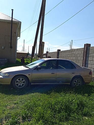 385 55: Honda Accord: 2001 г., Автомат, Бензин, Седан — 4