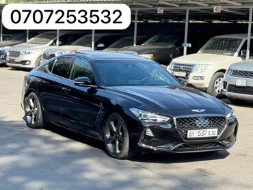 daf 105 460: Hyundai Genesis: 2019 г., 2 л, Автомат, Бензин, Седан