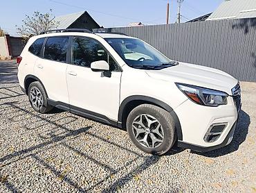 forester 2003: Subaru Forester: 2020 г., Бензин, Кроссовер — 5