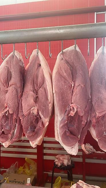 кишки: 猪肉 订购 Доброго времени Продаю мясо свинины-тушами пол туши. Кусками — 5