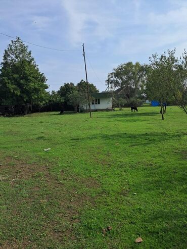 Torpaq sahələrinin satışı: Kənd təsərrüfatı -da lalafo.az — 14 Torpaq sahələrinin satışı: Kənd təsərrüfatı — 14