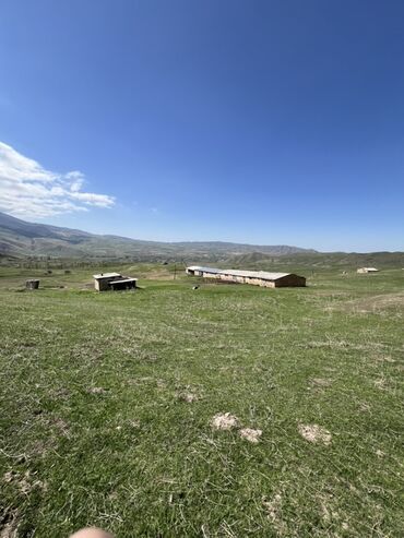 продаю дом садовое: 1600 соток, Айыл чарба үчүн, Кызыл китеп, Техпаспорт