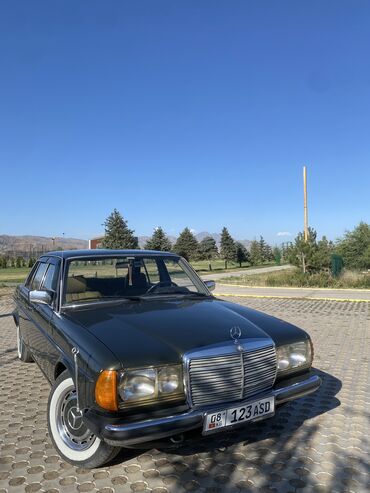 шины на gx: Mercedes-Benz W123: 1981 г., 2.4 л, Механика, Дизель, Седан