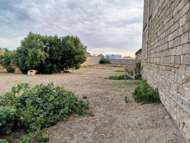 Bağ evlərinin satışı: Bakı, Albalı, 100 kv. m, 3 otaqlı, Kombi, Qaz, Su -da lalafo.az — 20 Bağ evlərinin satışı: Bakı, Albalı, 100 kv. m, 3 otaqlı, Kombi, Qaz, Su — 20