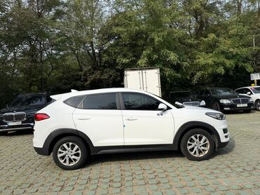 Hyundai: Hyundai Tucson: 2019 г., 2 л, Автомат, Дизель, Кроссовер — 2