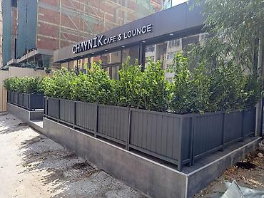 bitki satışı: Taxtalar ile ev, bağ, restoran, ofis, otel ve s. məkanlarınızın müasir — 2