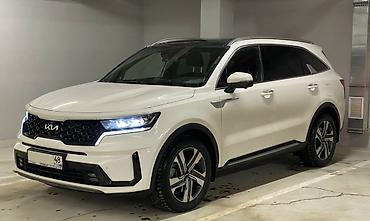 sky way: Подножки Kia, Новый, Самовывоз — 3
