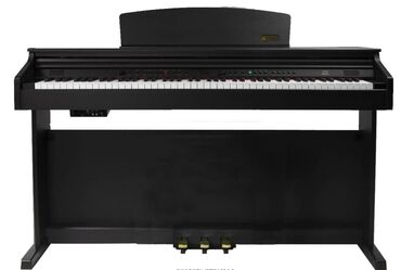 Gitaralar: Piano, Rəqəmsal, Yeni, Ünvandan götürmə, Pulsuz çatdırılma, Ödənişli çatdırılma