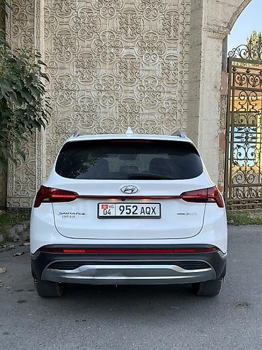 2107 панел: Hyundai Santa Fe: 2021 г., 1.6 л, Электромобиль, Внедорожник — 4