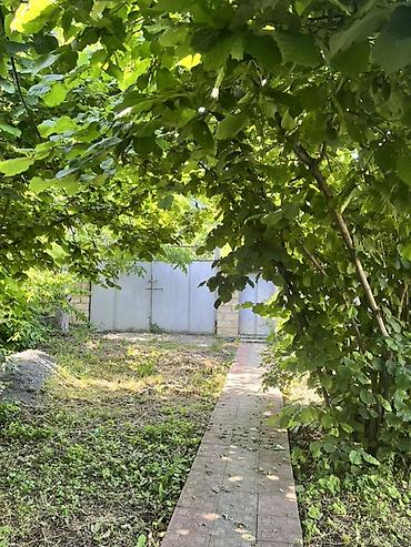 evdən satış: Qəbələ, 100 kv. m, 4 otaqlı, Hovuzsuz, Qaz, Su, İnternet — 3