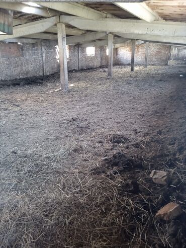 Сельхоз предприятия: Продаю Кошара, 50 соток, Действующий, Электричество, Канализация — 17