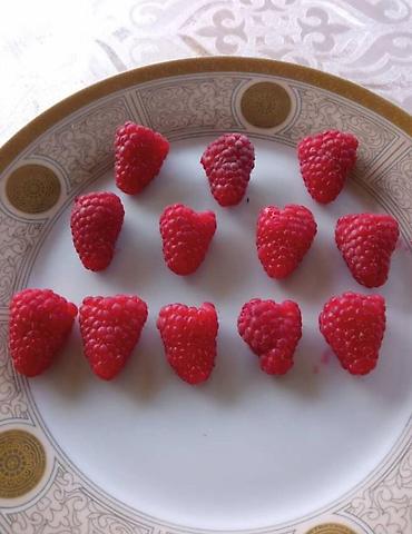 Фрукты и ягоды: Принимаем заказы на рассаду сорт Шапка Мономаха долгоиграющий — 8