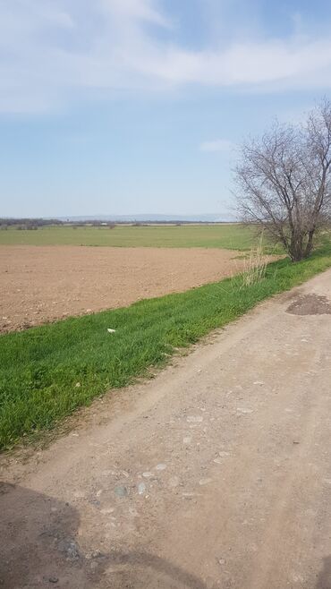 аренда аплавка: 100 соток Для сельского хозяйства