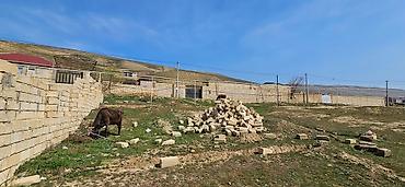 1 hektar nece km dir: 2 sot, Tikinti, Mülkiyyətçi, Kupça (Çıxarış), Texniki pasport — 4