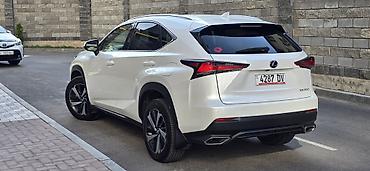 Lexus: Lexus NX: 2019 г., 2 л, Автомат, Бензин, Кроссовер — 21