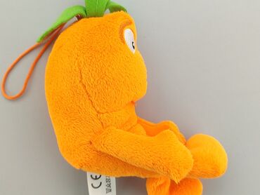 zara kurtki dziecięce wyprzedaż: Mascot Vegetable, condition - Very good