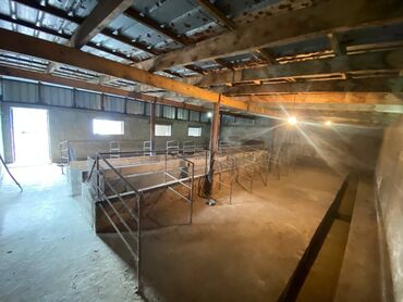 Продажа домов: Дом, 50 м², 3 комнаты, Собственник, Косметический ремонт — 15