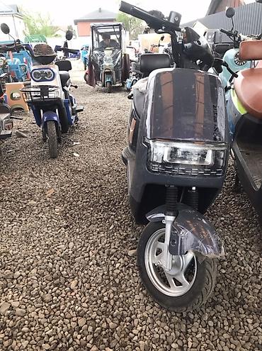 Скутеры: Электроскутеры городского типа - Электропривод: бесшумный — 1