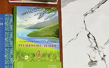 top flex: Учебник «Родиноведение. 3 класс» - Авторы: Е. А. Бухова, О. В — 1