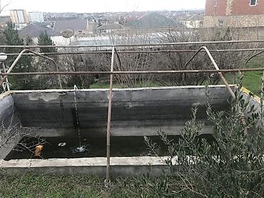 kiraye evlerin kreditle satisi: Xüsusi mülkiyyət, su, işıq, qaz, internet xətləri mövcüddur. Hamısı — 6