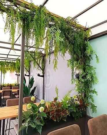 Başqa xidmətlər: Green House Azerbaijan. Dekor interyer Kafe×restoranlar üçün — 18
