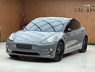 автомобили: Tesla Model 3: 2019 г., 2 л, Автомат, Электромобиль, Седан — 2